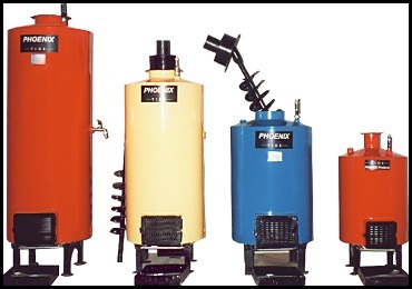 Biomass water heater